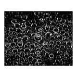 Bubbles (Print Only) thumbnail