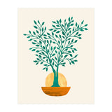 Emerald Ficus Sunset (Print Only) thumbnail