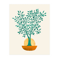 Emerald Ficus Sunset (Print Only)