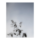 Forgotten Memories of Summer #17 (Print Only) thumbnail