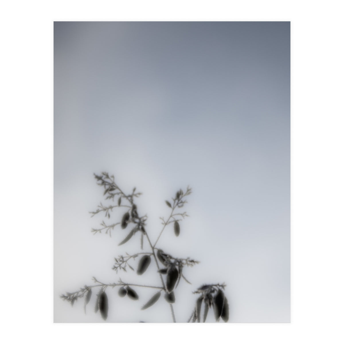 Forgotten Memories of Summer #17 (Print Only)