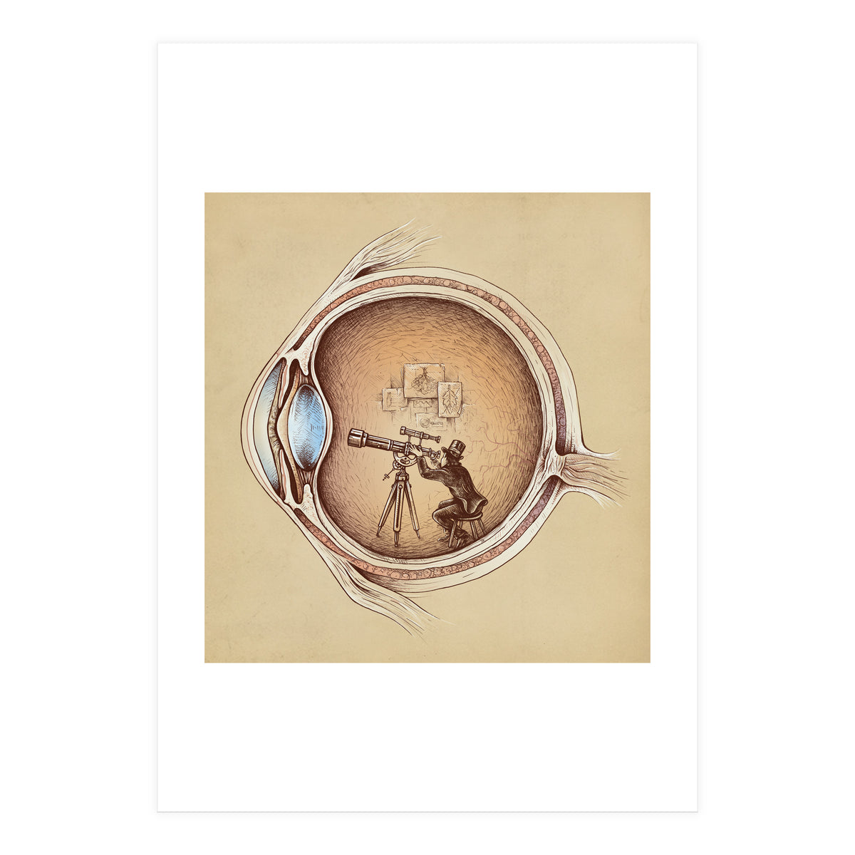 Extraordinary Observer (Print Only)