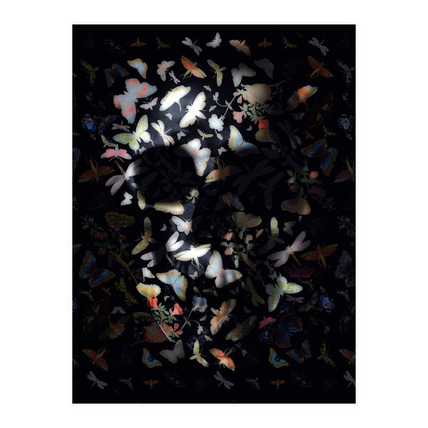 Butterfly Skull (Print Only)