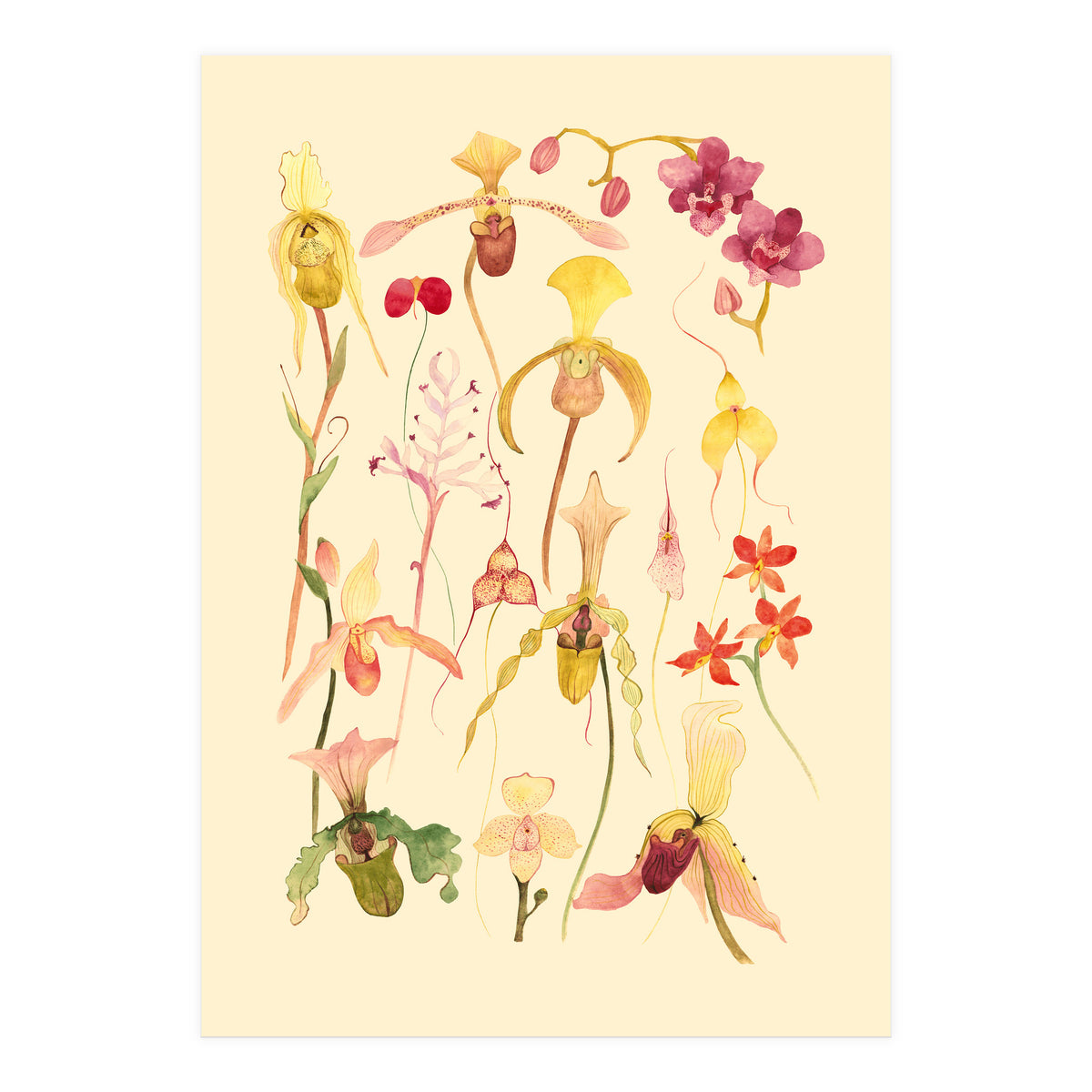 Orchids #3 (Print Only)