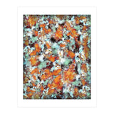 Little Falling Embers (Print Only) thumbnail