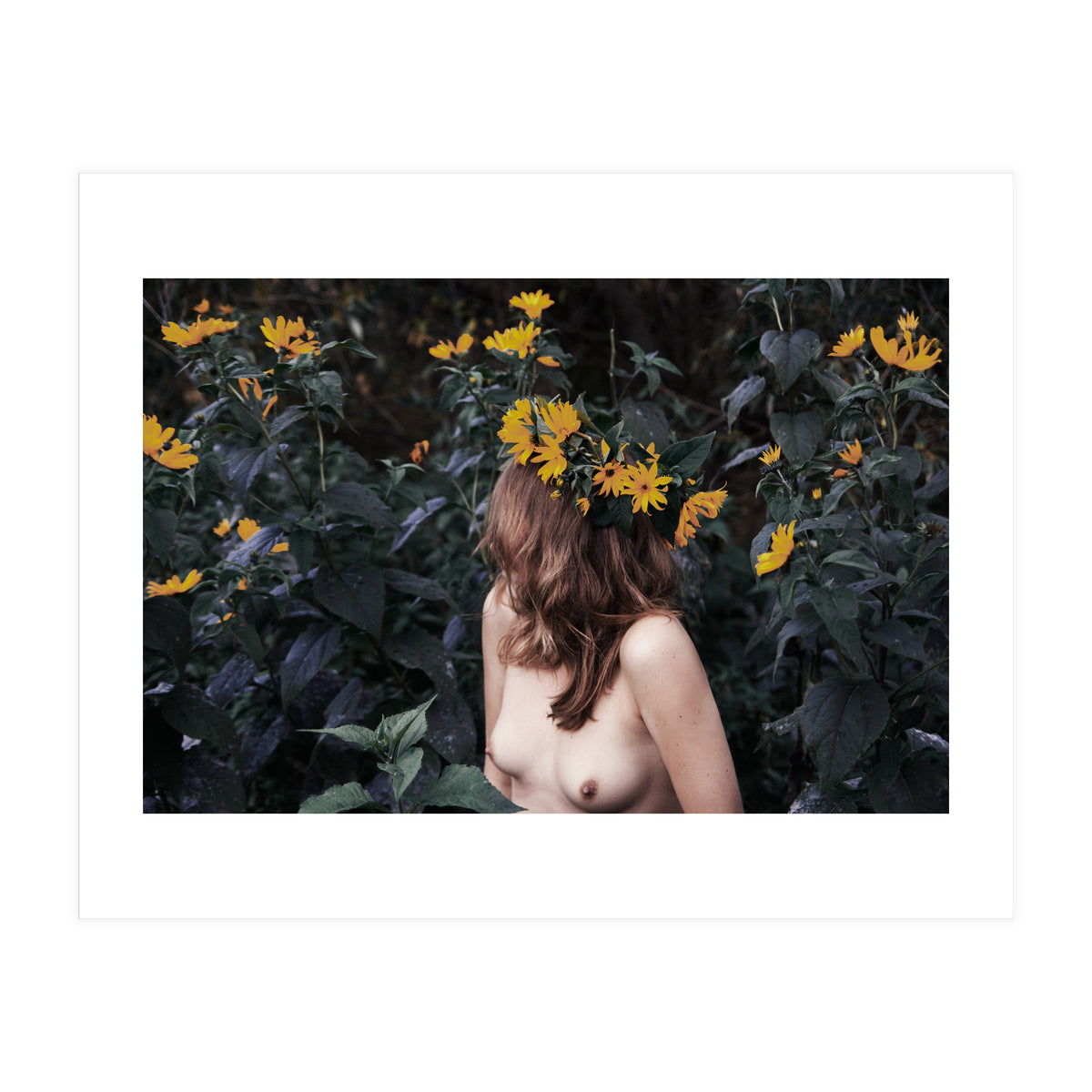 Acid Rain (Print Only)