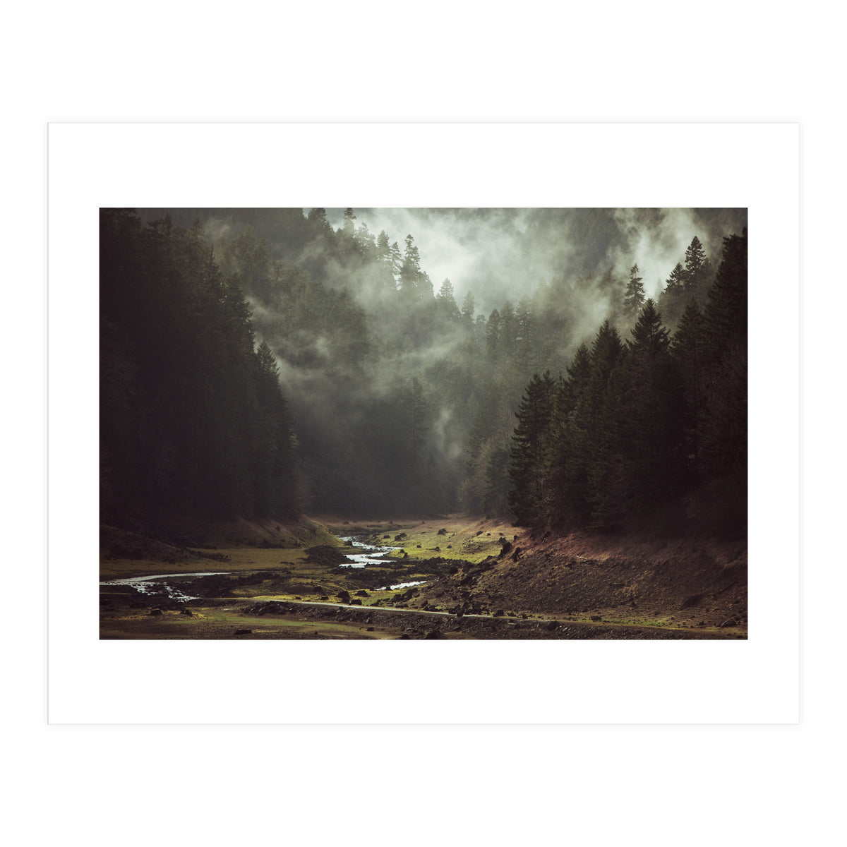 Foggy Forest Creek (Print Only)