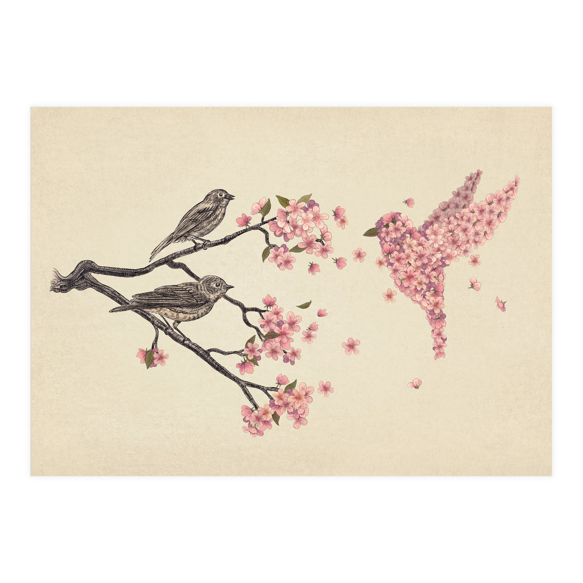 Blossom Bird (Print Only)