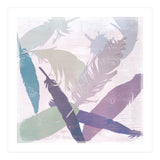 Feathers (Print Only) thumbnail