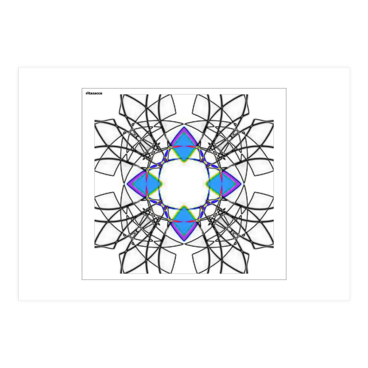 fiori.6 (Print Only)