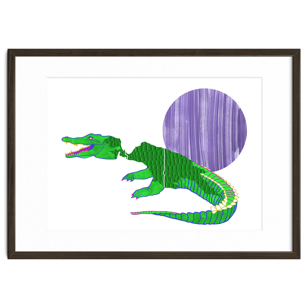 New Guinea Crocodile