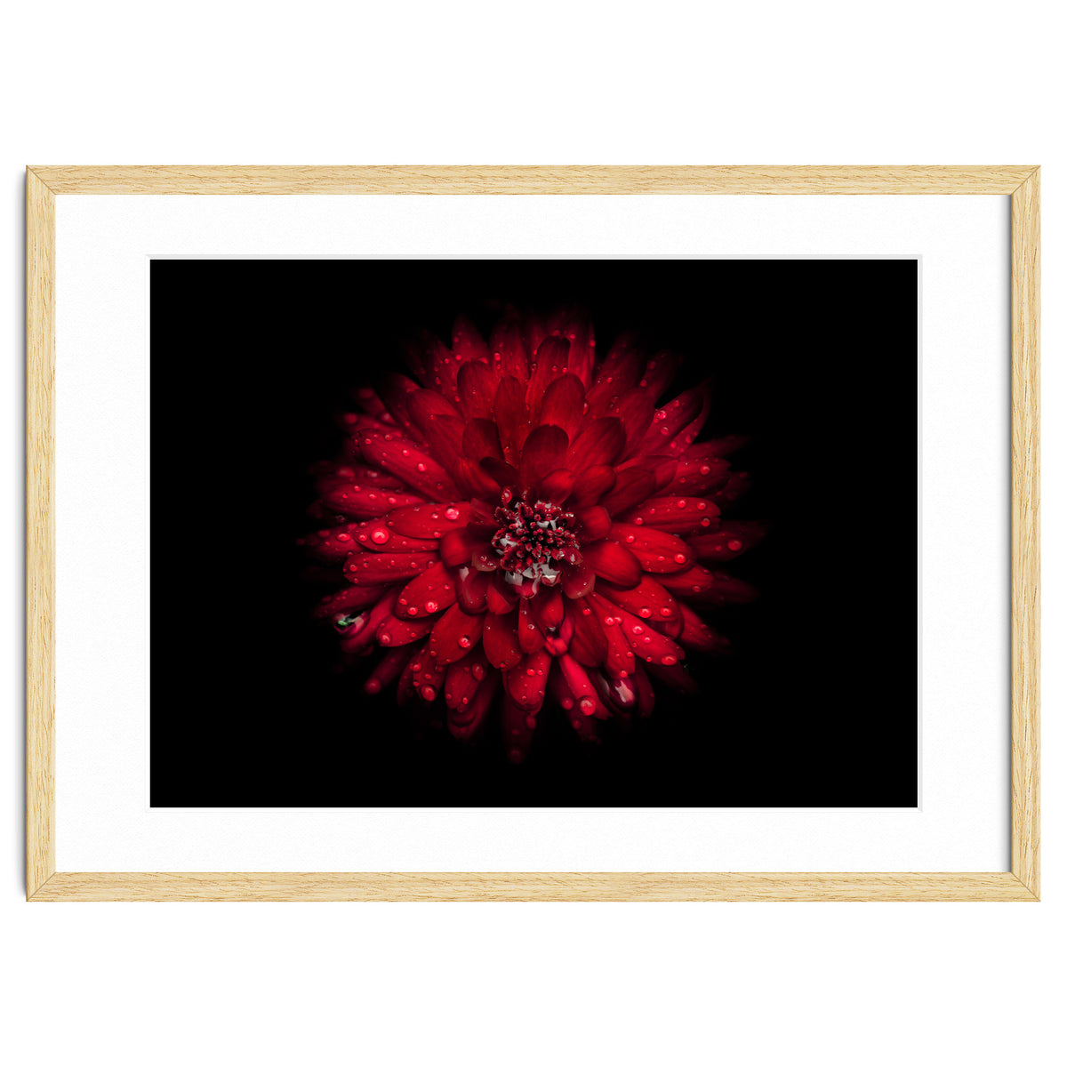 Backyard Flowers 45 Color Version