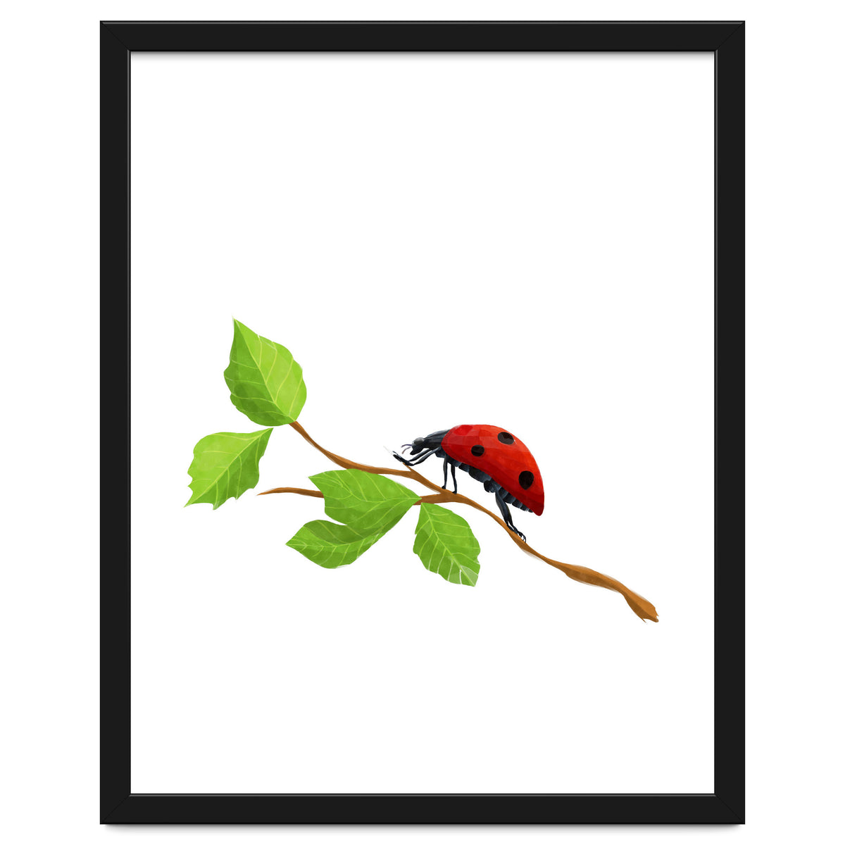 Ladybug