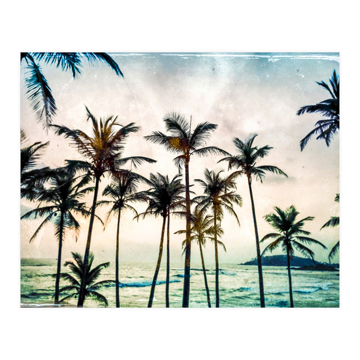No Palm Trees (Print Only)