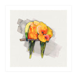 Two cuddling sun conures (Print Only) thumbnail
