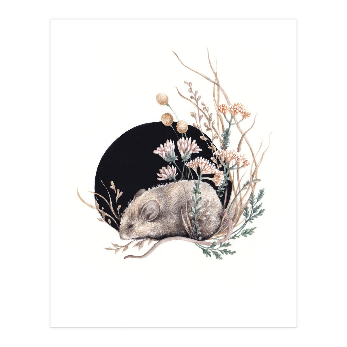 Sleeping Mouse (Print Only)