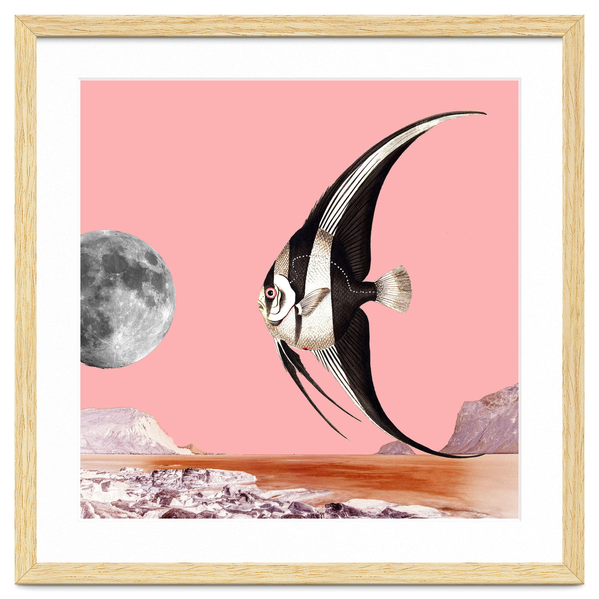 Plenty Of Fish In The Sea Pink