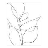Plant Line Drawing (Print Only) thumbnail