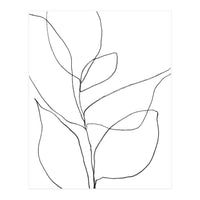Plant Line Drawing (Print Only)