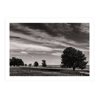 Country Road, Illinois  (Print Only)
