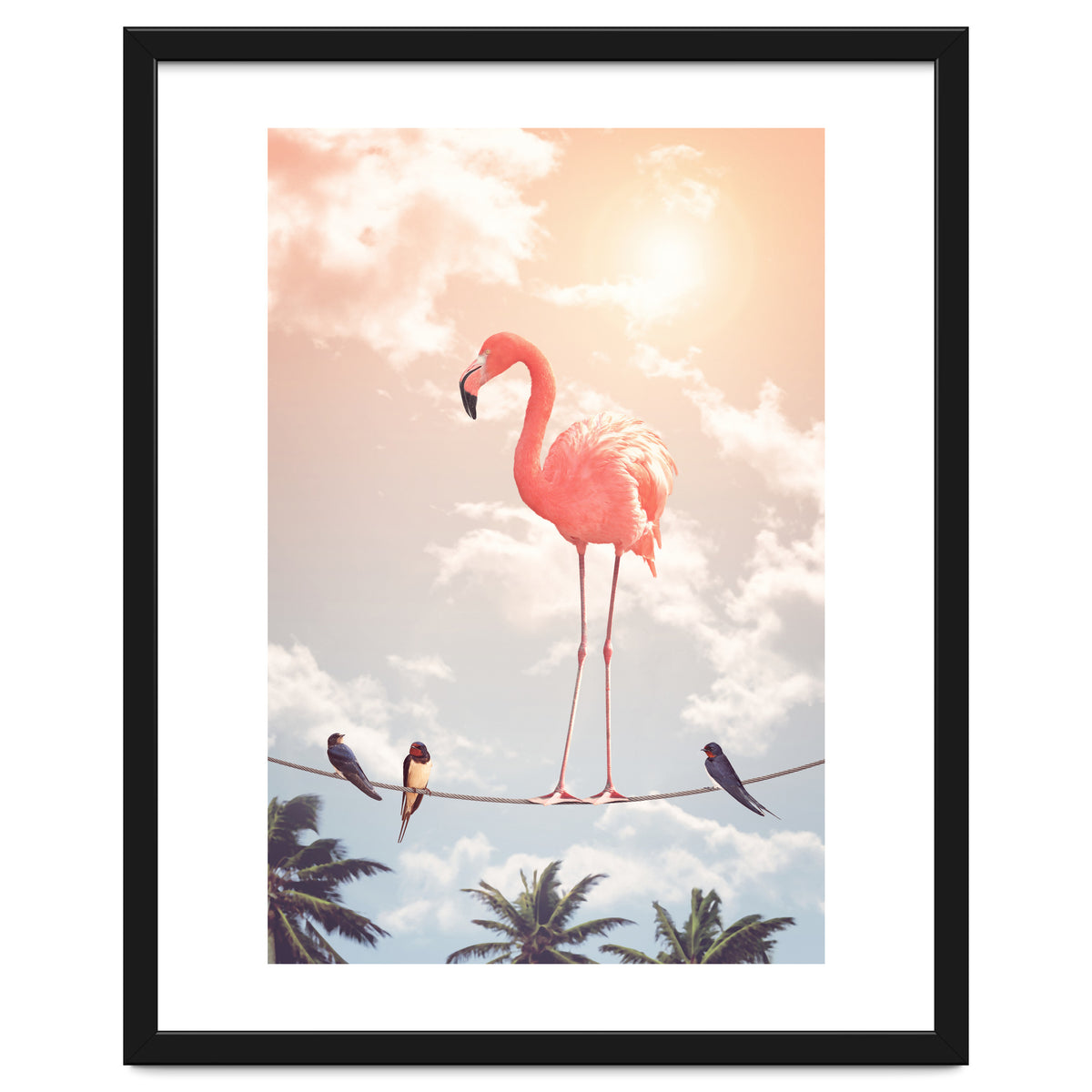 Flamingo & Friends