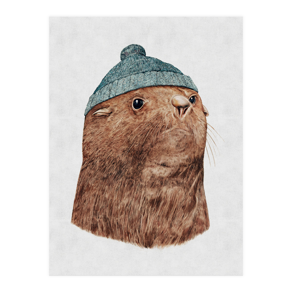 The Fur Seal (Print Only)