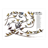Warblers of New England (Print Only) thumbnail
