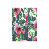 Wild Hibiscus (Print Only) thumbnail