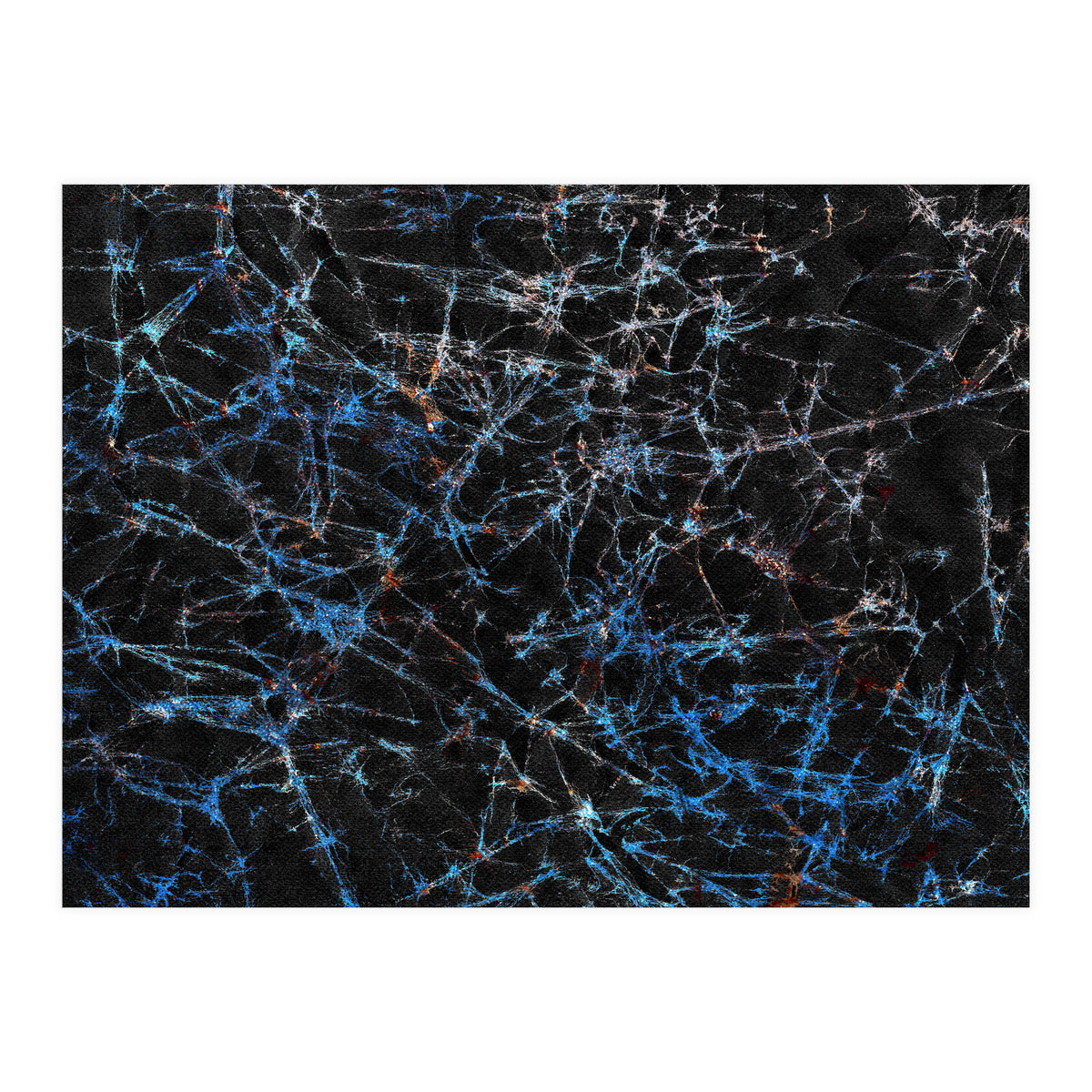 Blue Web  (Print Only)