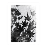 Leaves #2 (Print Only) thumbnail