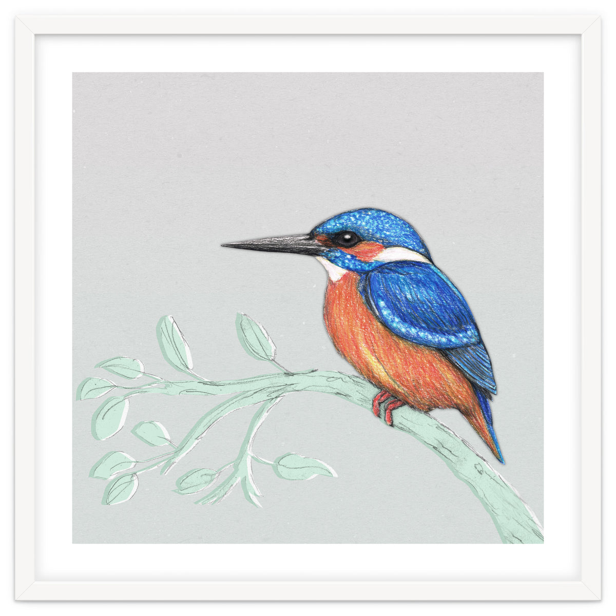 The kingfisher