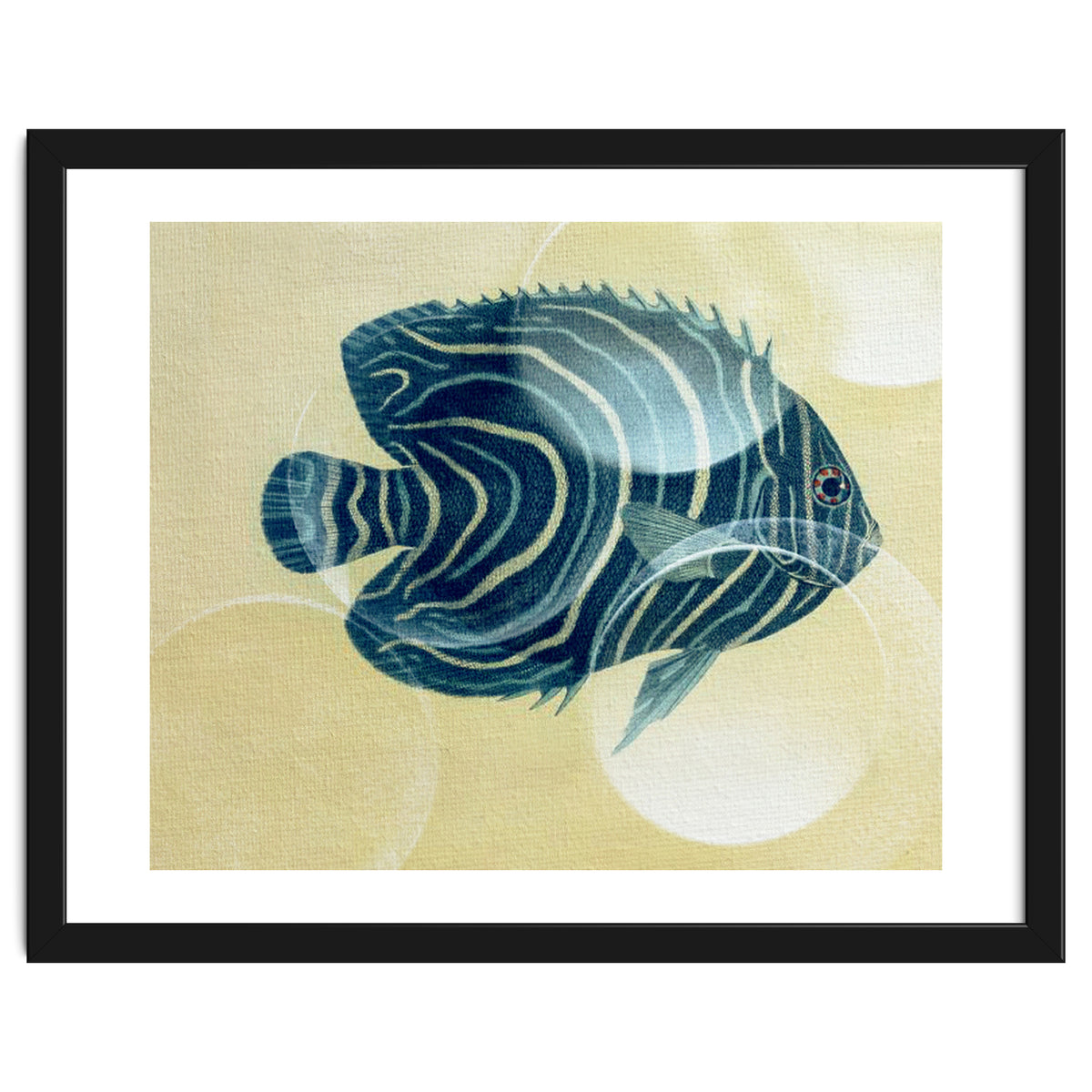 Fish Between Circles