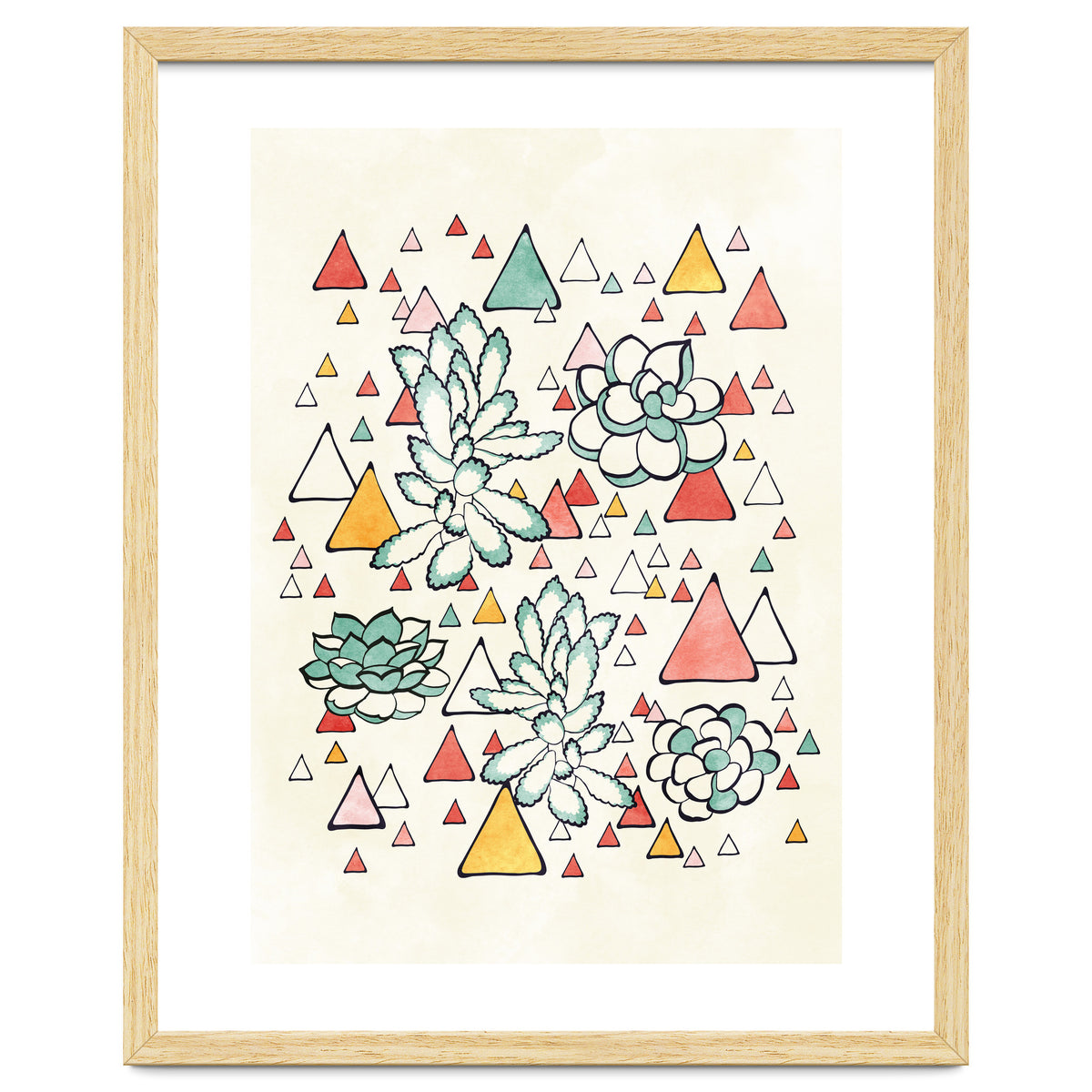 Succulent And Triangles