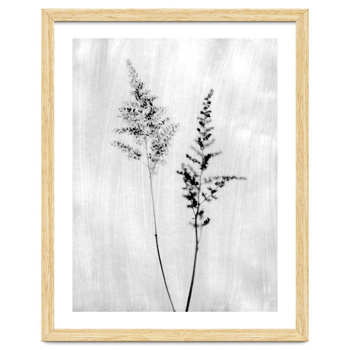 Delicate Wildflowers