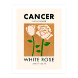 Cancer Birth Flower White Rose (Print Only) thumbnail