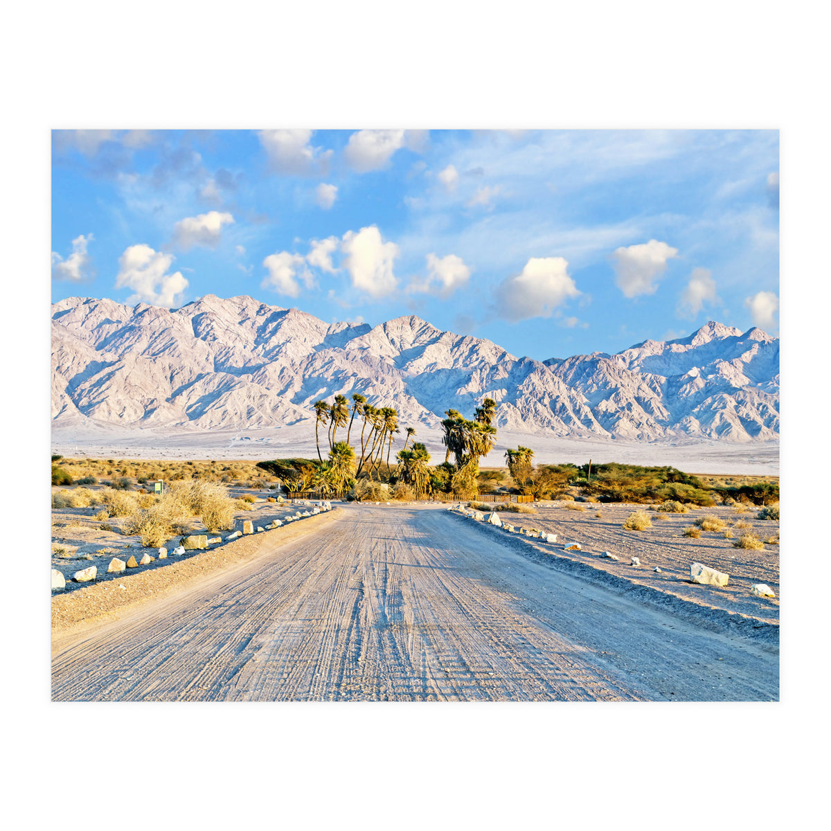 Summer Scenic (Print Only)