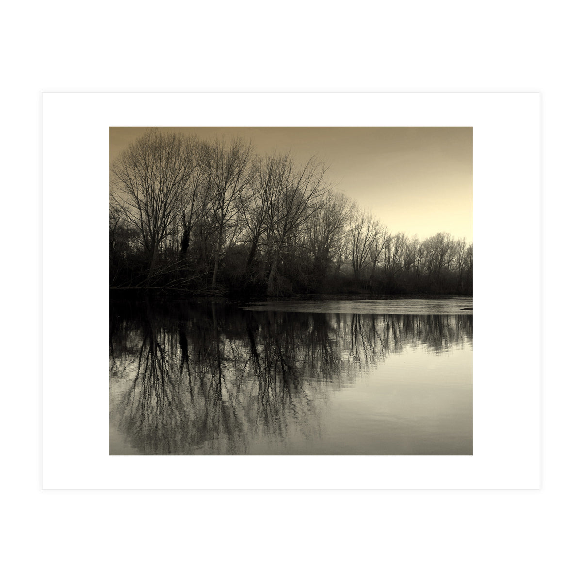 Winter Symettery  (Print Only)