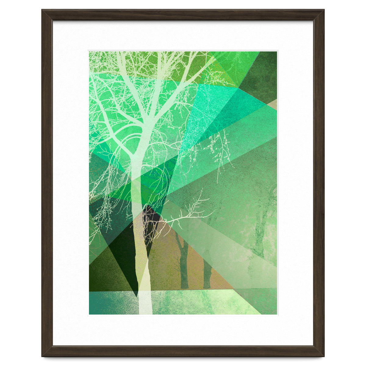 P22 B Trees And Triangles