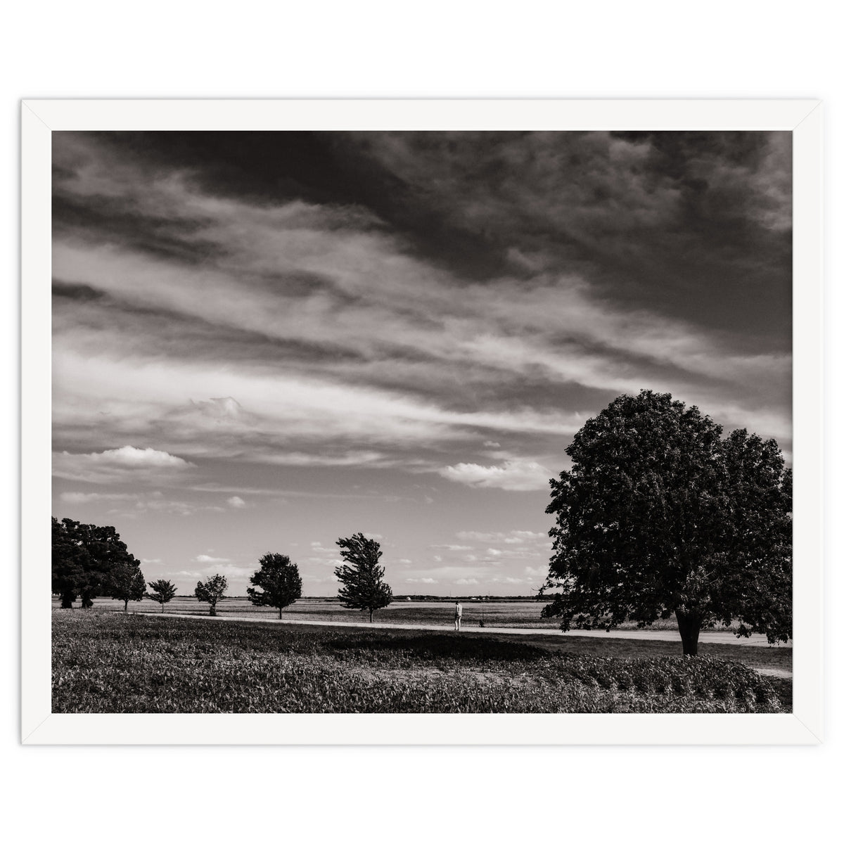 Country Road, Illinois