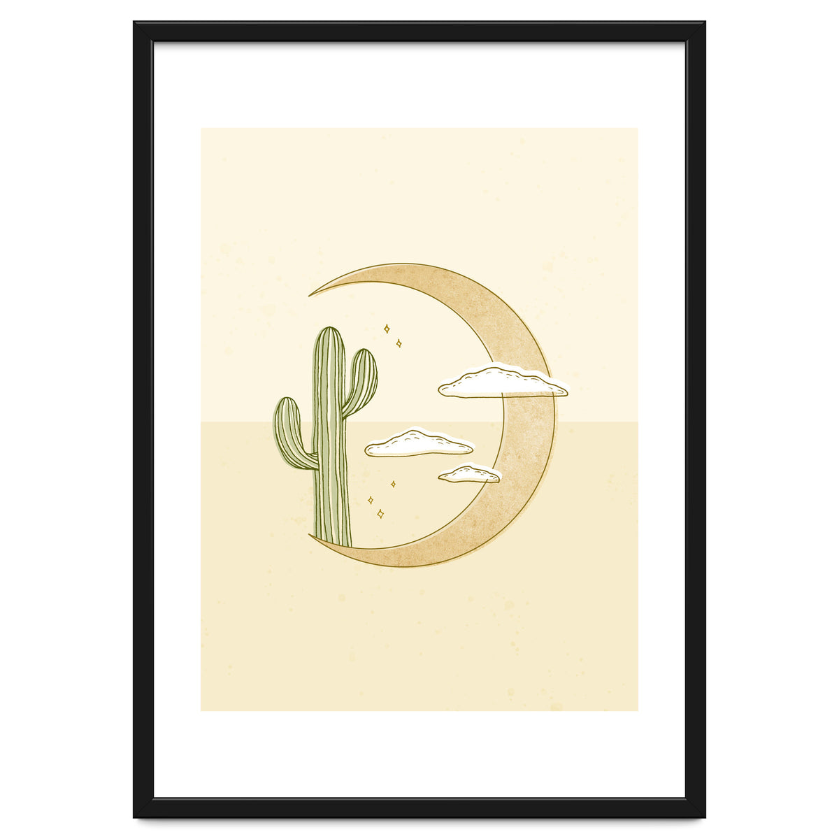 Moon Cactus