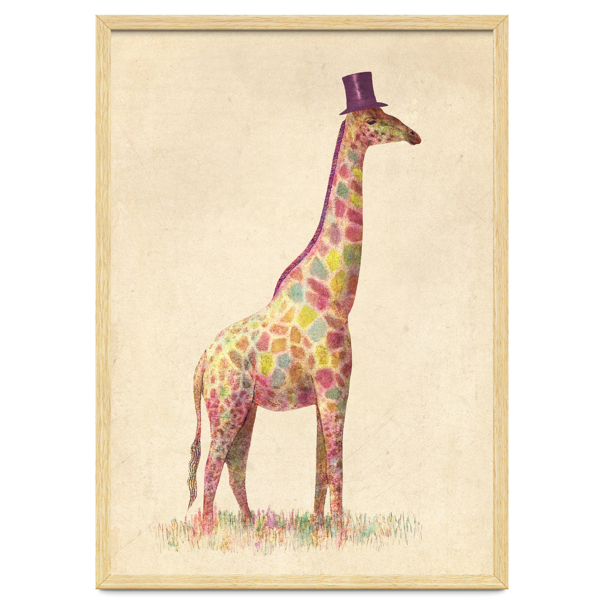 Fashionable Giraffe