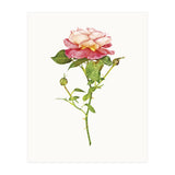 Cc Roses 03 (Print Only) thumbnail