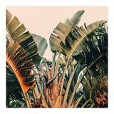 Hue (Print Only) thumbnail