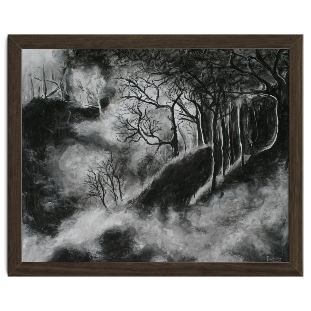 Black and White Forest in Clouds