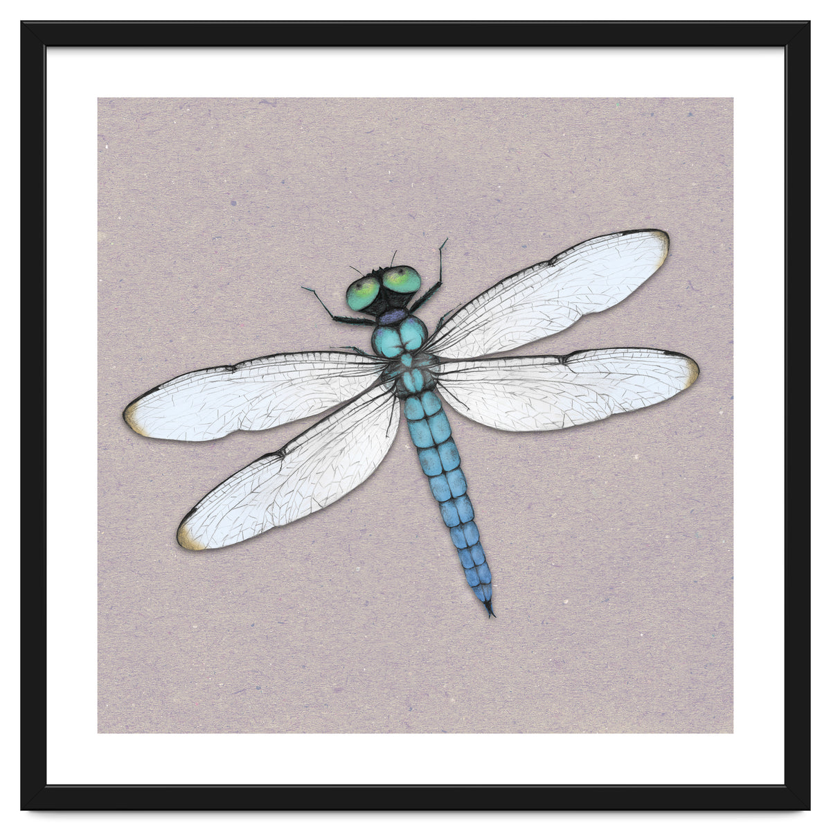 Blue dragonfly