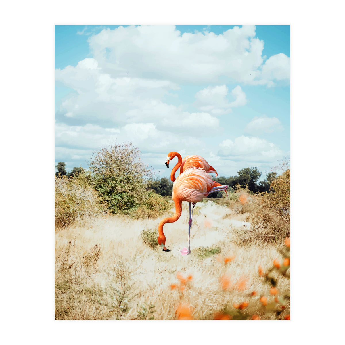 Flamingo Couple (Print Only)