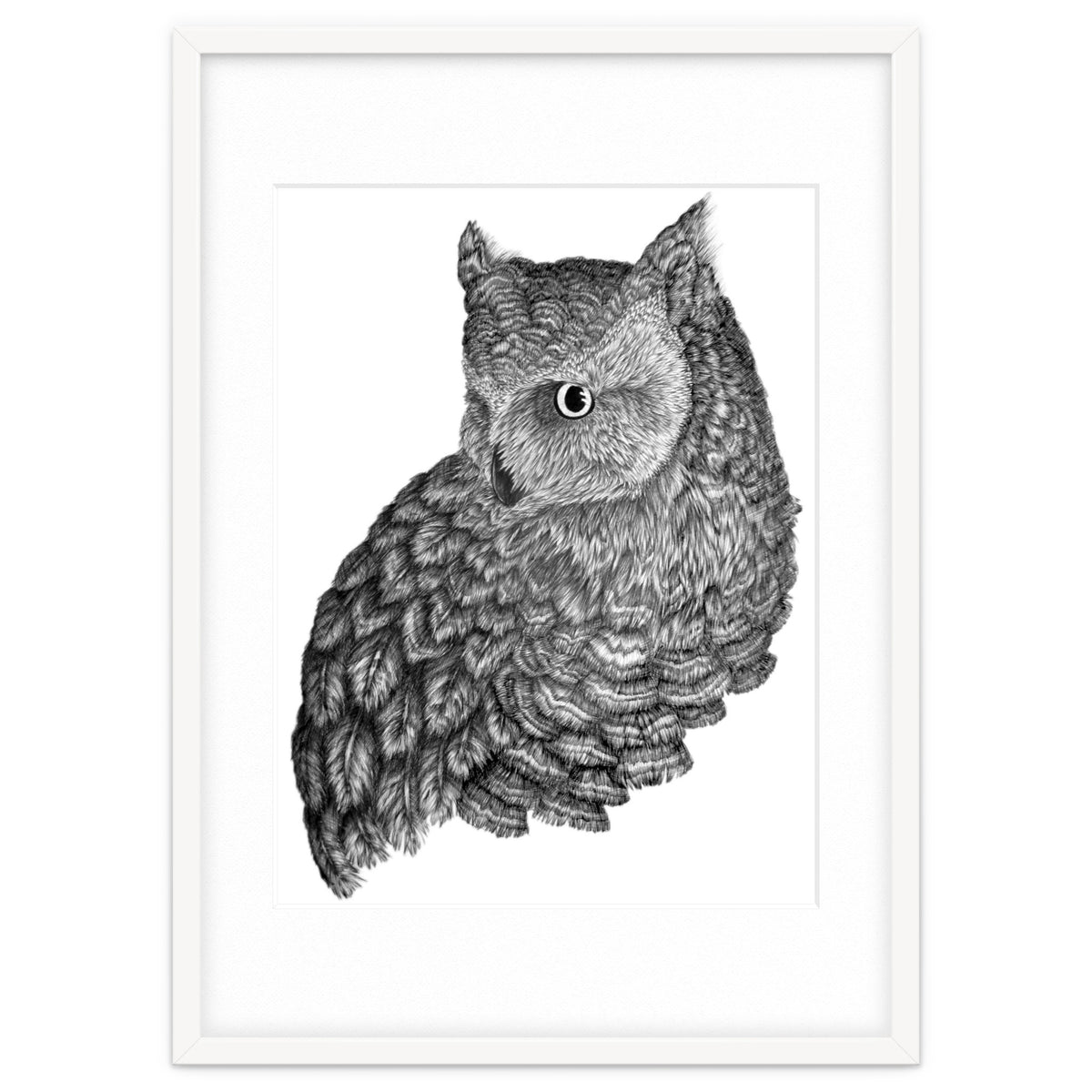 A Friend For Forsythe