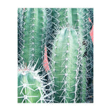 Cactus Up Close (Print Only) thumbnail