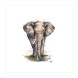 Elephant - Wildlife Collection (Print Only) thumbnail