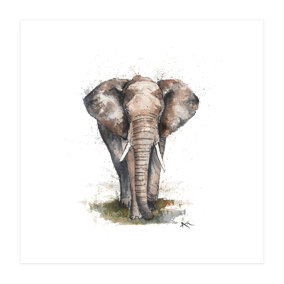 Elephant - Wildlife Collection (Print Only)